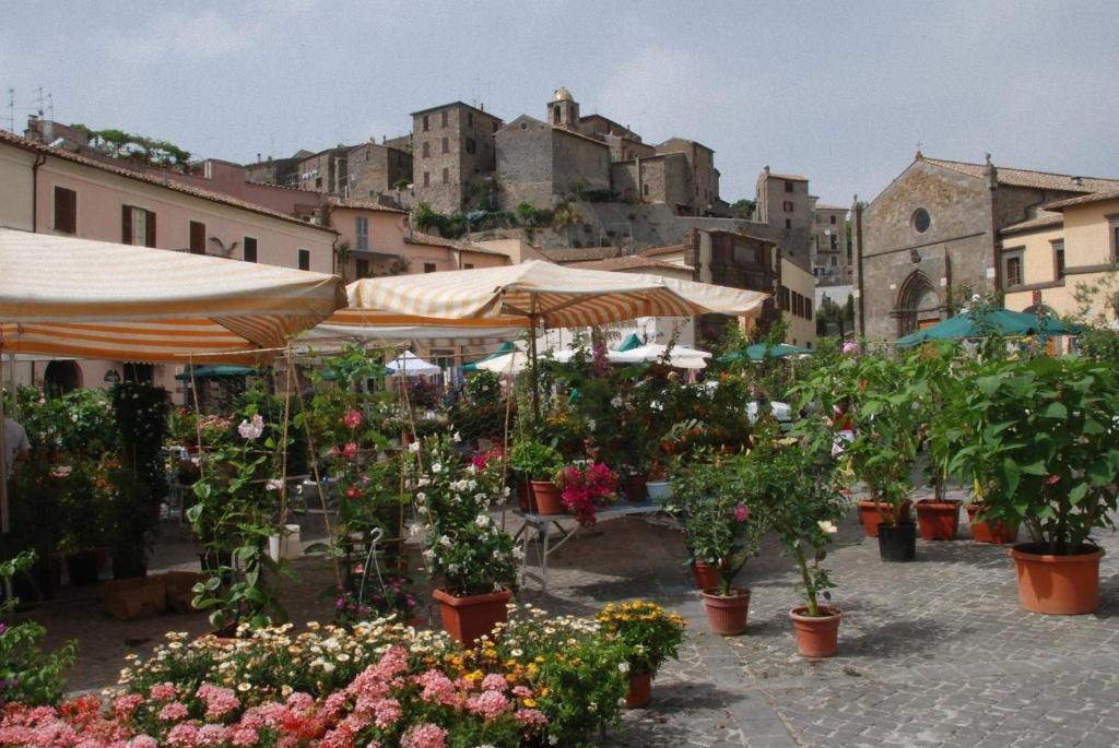 Hotel La Torricella كابالبيو المظهر الخارجي الصورة